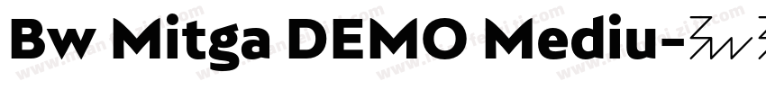 Bw Mitga DEMO Mediu字体转换